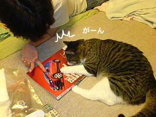 c0035001_21433443.jpg