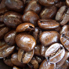 c0036617_6314787.jpg