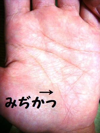 d0137326_23442517.jpg
