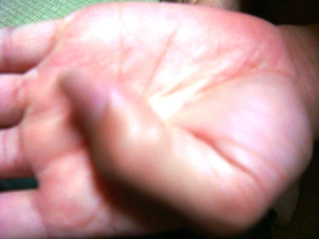 d0137326_2344269.jpg
