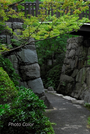 f0078127_1952236.jpg
