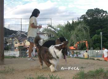 b0090938_17371343.jpg