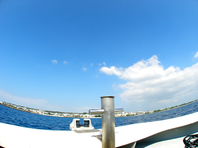d0065247_21242877.jpg