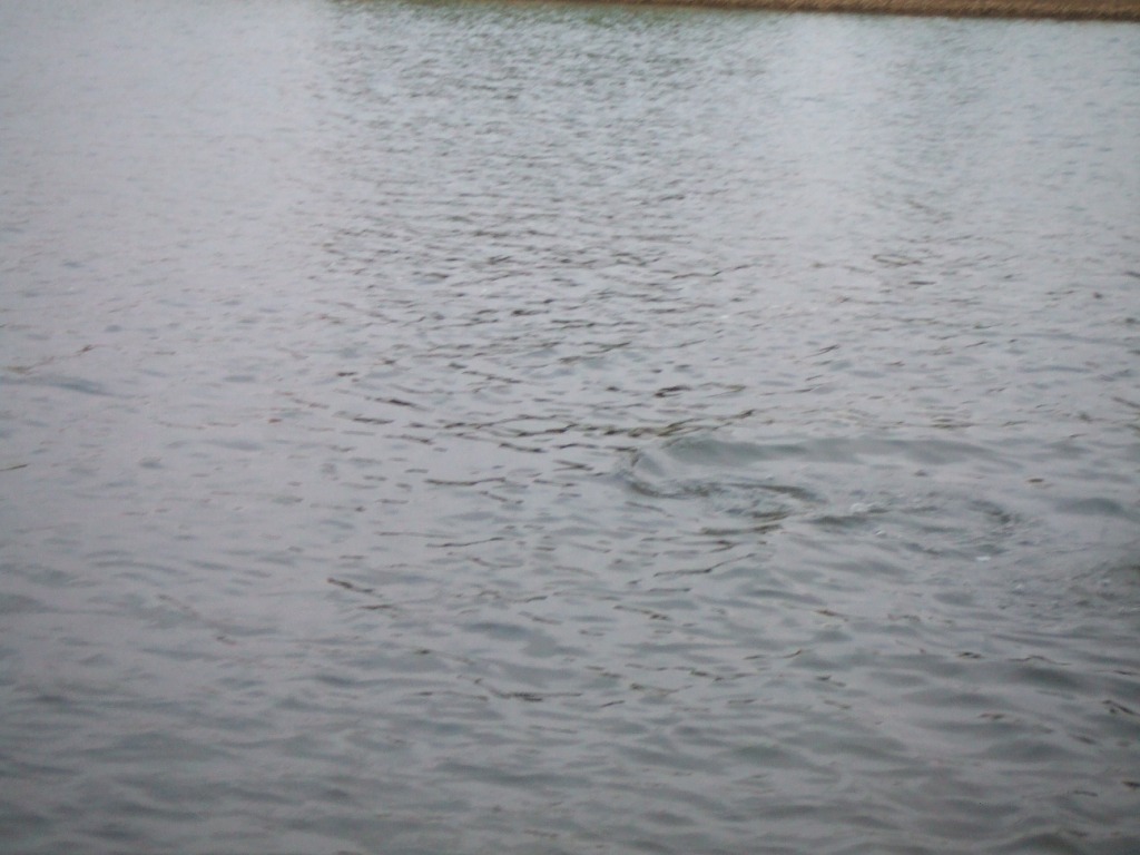 c0019951_21293064.jpg
