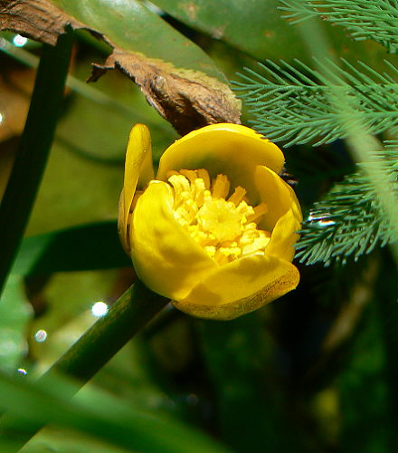 d0091754_19233811.jpg