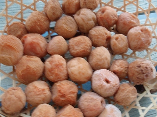 e0004756_2226739.jpg