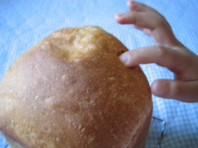 c0167359_013067.jpg