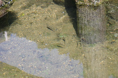 f0106664_7162845.jpg