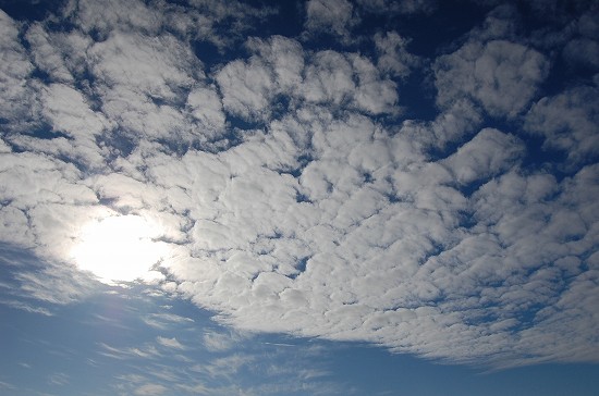 e0128367_7141642.jpg