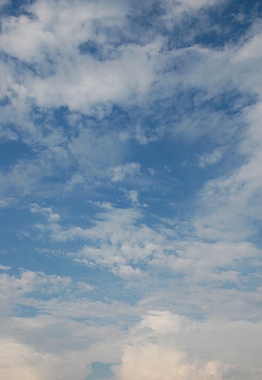 e0128367_71513.jpg