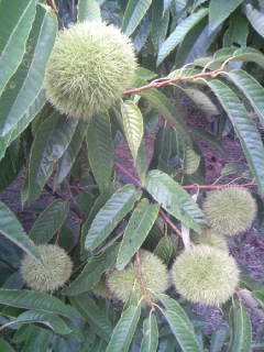 f0061067_22485100.jpg