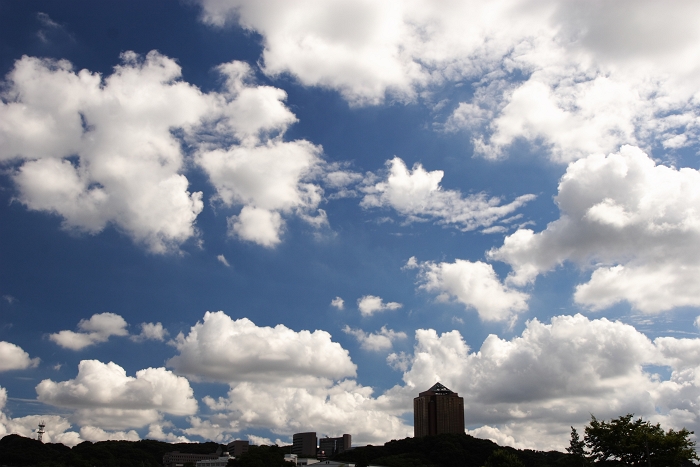 f0115475_19371582.jpg