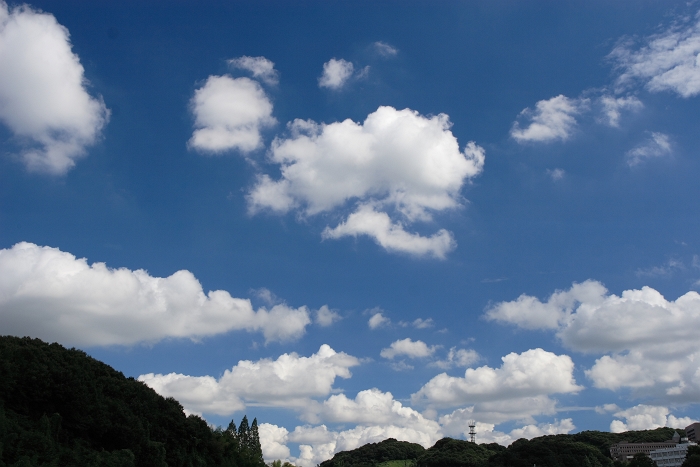 f0115475_19384525.jpg