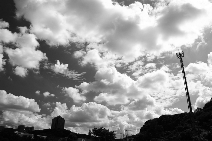 f0115475_19391461.jpg
