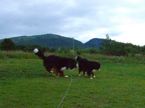 c0149178_8215260.jpg