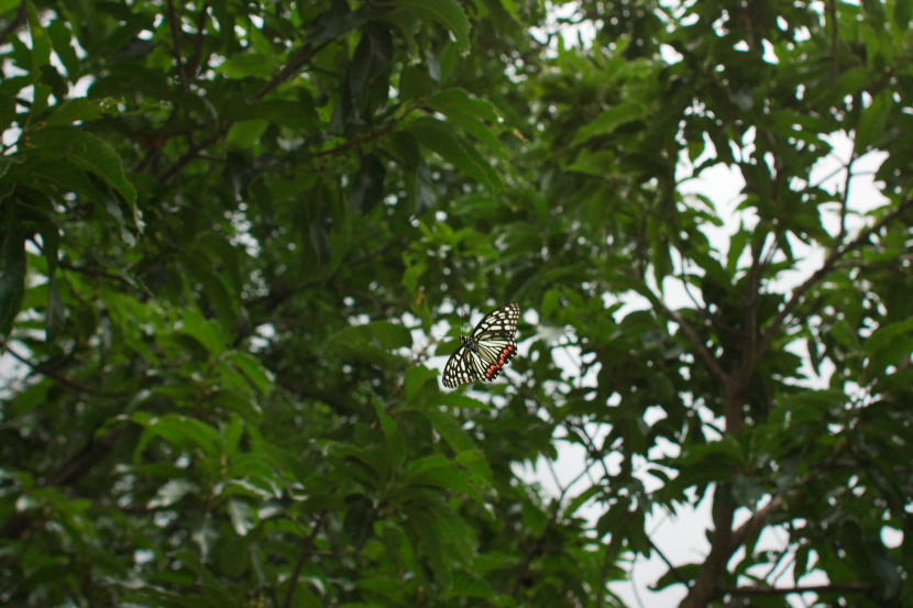 f0090680_23283920.jpg