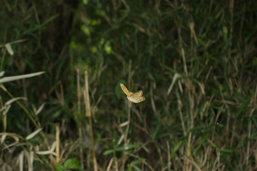 f0090680_23295150.jpg