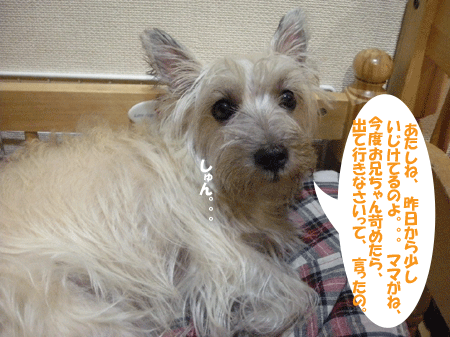 e0066883_22595878.gif