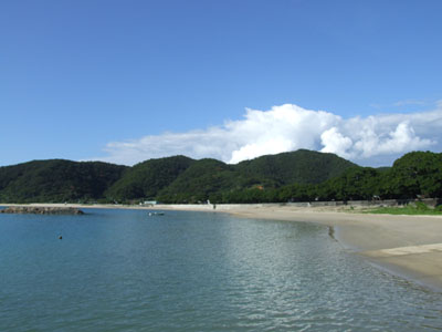 e0028387_1653535.jpg