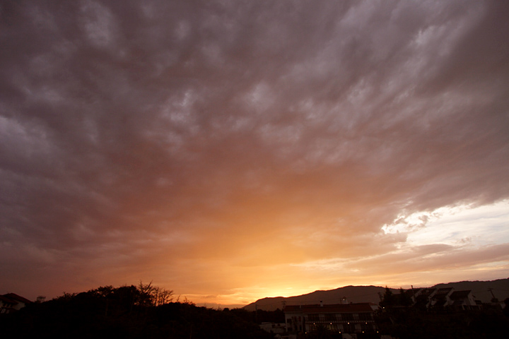 b0067789_2329696.jpg