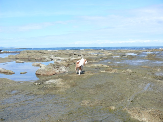 b0146391_15375297.jpg