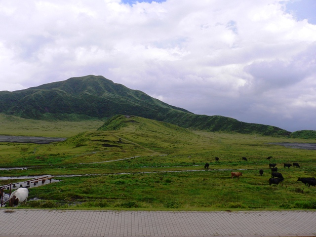 e0126594_11342593.jpg