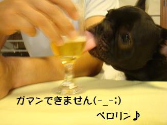 b0134197_12591611.jpg