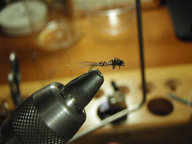 c0177497_2305375.jpg