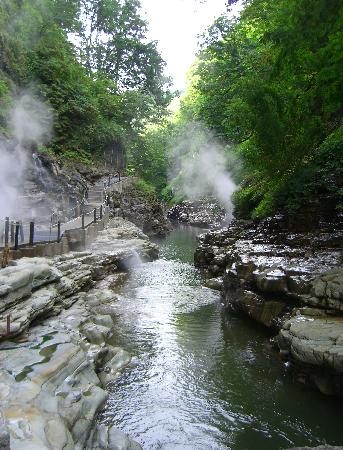 e0077899_8534471.jpg