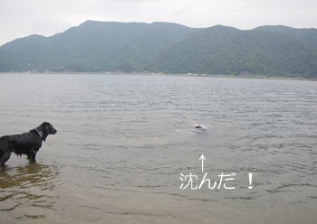 c0050400_10151039.jpg
