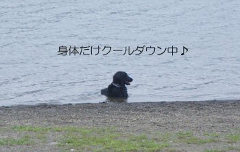 c0050400_1030563.jpg