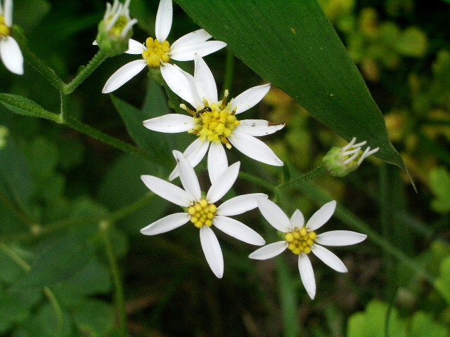 e0025300_20114692.jpg