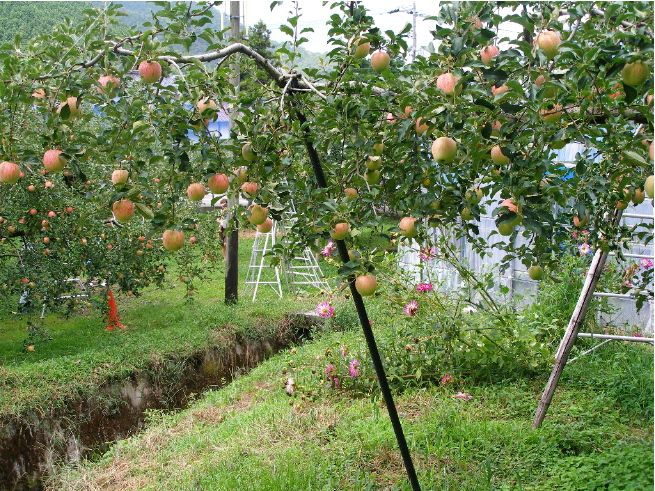c0036203_17352294.jpg