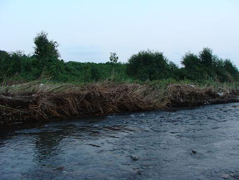 e0123808_2395593.jpg