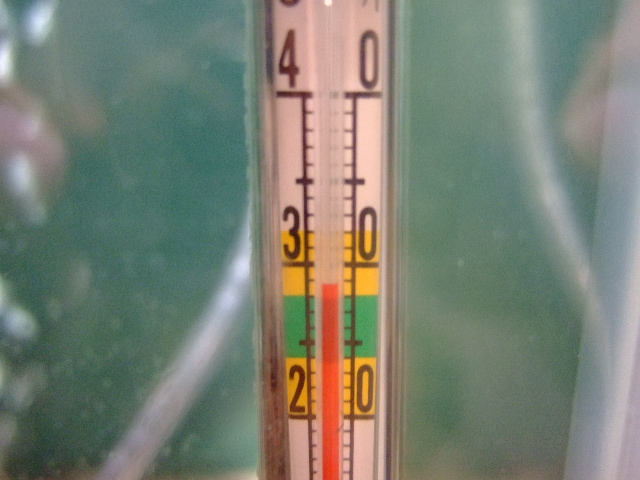 f0152308_22284440.jpg