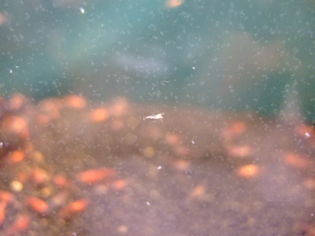 f0152308_2228796.jpg