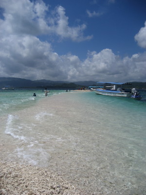 d0077811_134386.jpg