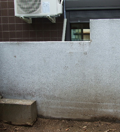 c0145920_3204758.jpg