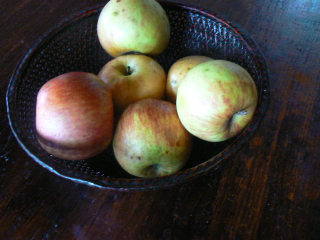 f0131120_1652847.jpg