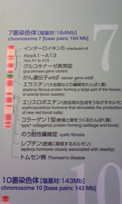 c0033521_15544211.jpg