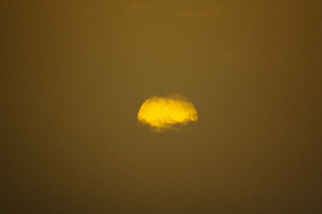 b0062024_15324160.jpg