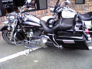 a0099129_1552739.jpg