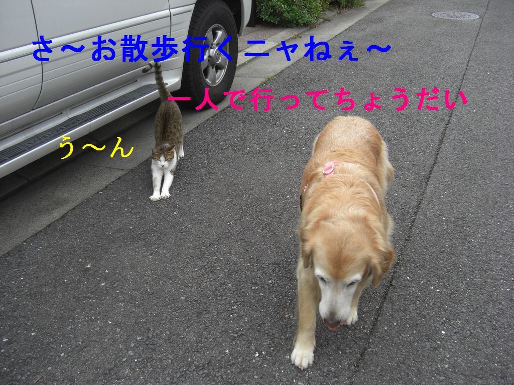 e0142430_1433890.jpg
