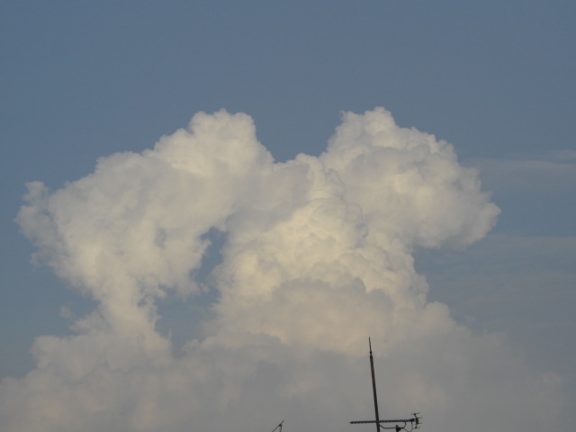 e0081334_18433047.jpg