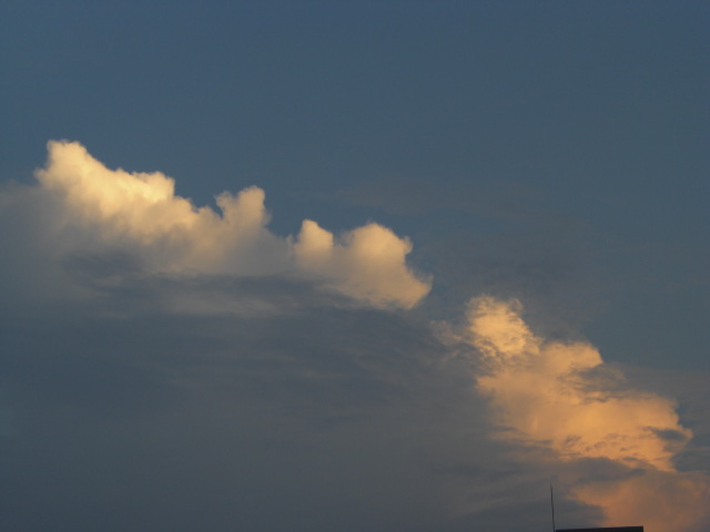 e0081334_1914326.jpg