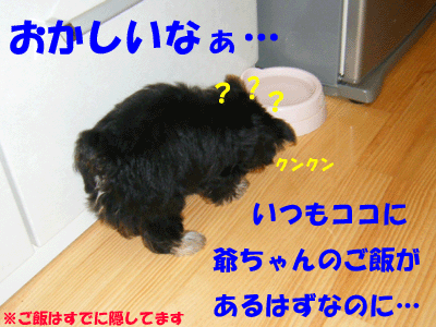 f0008935_03411100.gif