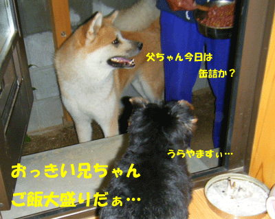 f0008935_035088.gif