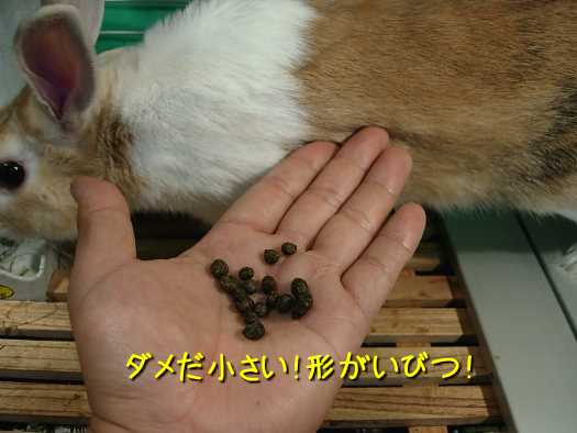a0095546_2463651.jpg