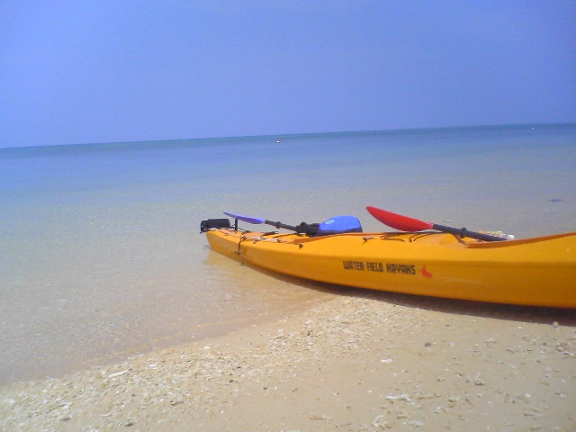 b0046349_1718982.jpg