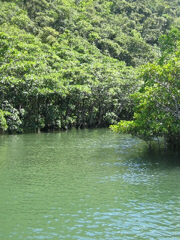 e0020455_173881.jpg